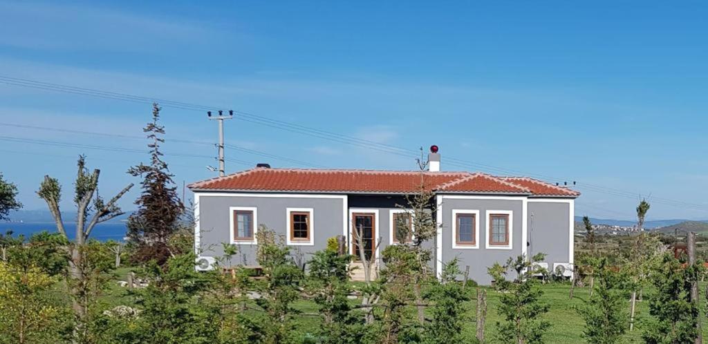 Adayel Bagevi & Butik Otel Бозджаада Экстерьер фото